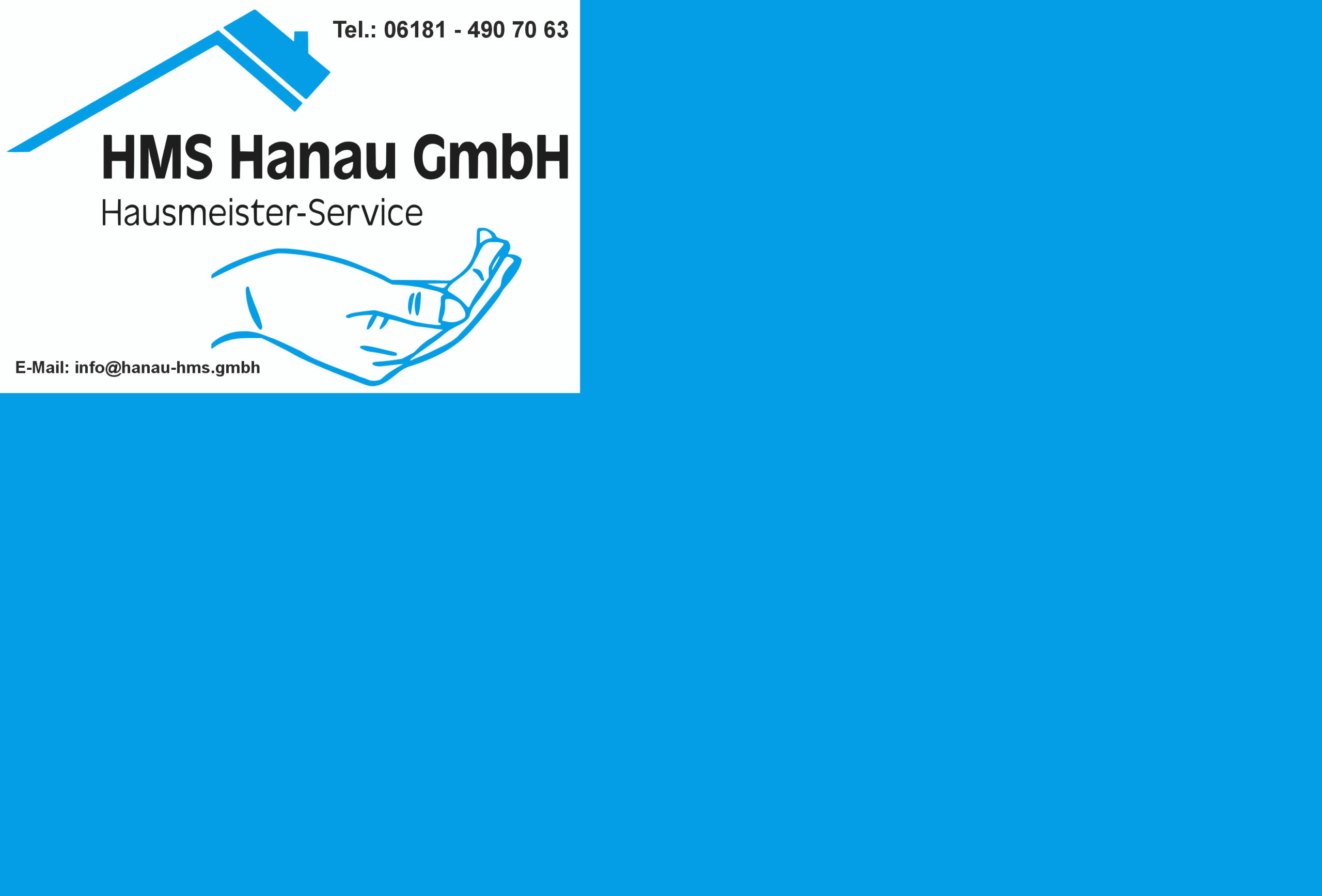 HMS Hanau GmbH